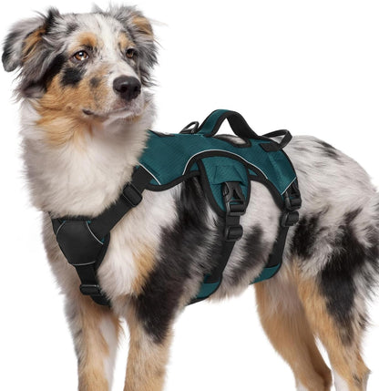 Rabbitgoo Escape Proof Dog Harness for Large, No Pull with Lift Handle | No Escape, Full Soft Padded, Reflective Adjustable Vest, Leash Clip for Walking Hiking Training, Black, Large12