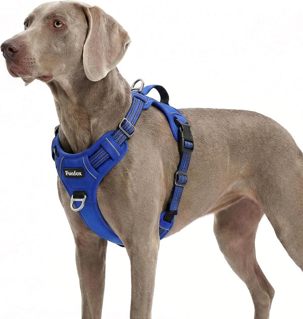 Funfox Dog Harness Medium Sized Dog, Vertical Handle Easy Control, No Pull Pet Vest Adjustable with 2 Leash Clips, Soft Material, Reflective Safe Night Walking for Small Medium Large Breed, Black, M15