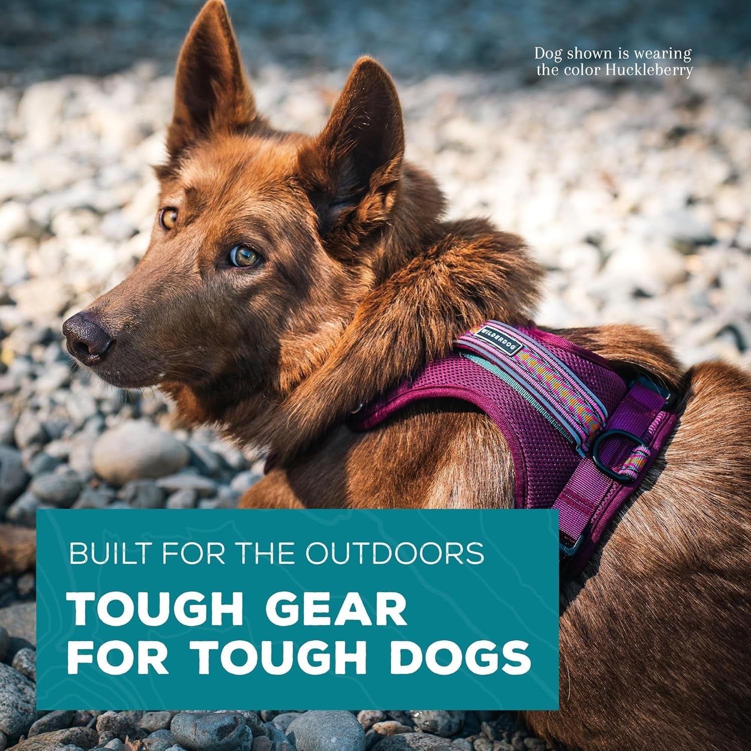 wilderdog-lightweight-dog-harness-with-reflective-straps-medium-huckleberry