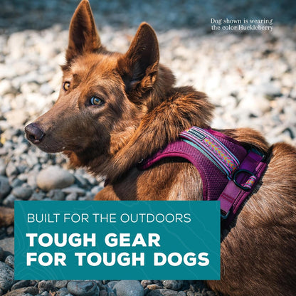 Wilderdog Lightweight Dog Harness with Reflective Straps - Medium - Huckleberry2