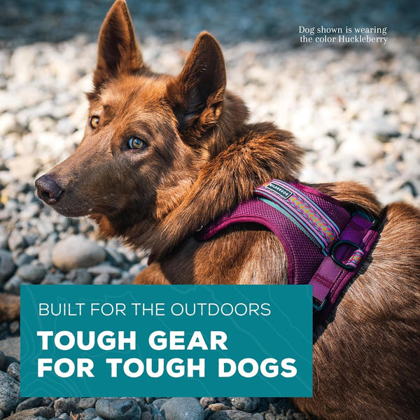 Wilderdog Lightweight Dog Harness with Reflective Straps - Medium - Huckleberry2