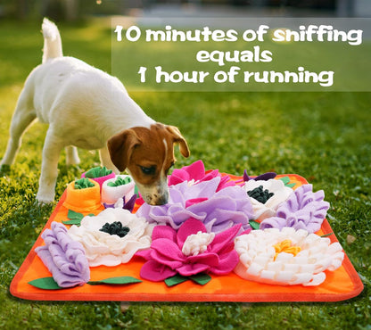 Snuffle Mat for Dogs,Dog Feeding Mat Sniff Mat Interactive Dog Puzzle Mat for Training and Stress Relief Encourages Natural Foraging Skills (Bright Orange)6