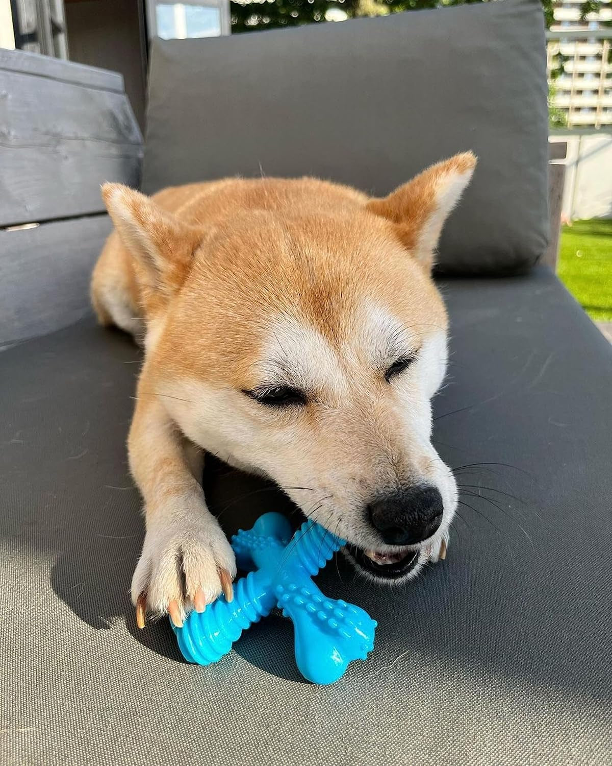 nylabone-power-chew-comfort-hold-x-bone-dog-chew-toy-beef-flavor-small-small-breeds-durable-dog-toys-for-dogs-up-to-25-lbs-teeth-cleaning-textures-discourages-destructive-chewing-long-lasting