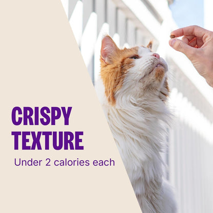 Wellness Kittles Crunchy Cat Treats, All Lifestages, Kitten to Senior, Natural, Grain Free, Chicken and Cranberry Flavor, 2 Oz Bag8