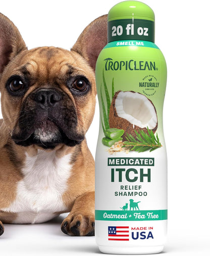 Tropiclean 2-In-1 Dog Shampoo and Conditioner, Moisturizing Dog Detangler, Puppy Safe, Made in the USA, Papaya Scent, Cat & Kitten Safe, 20Oz. | Moisturizing Detangler | Papaya Scent | Puppy, Cat & Kitten Safe | Made in USA21