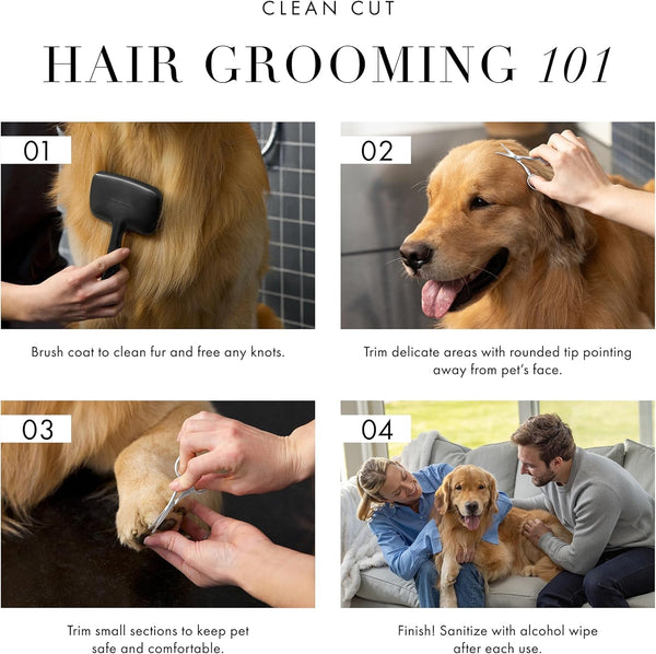 Tweezerman Pet Grooming Scissors-Rounded Tip Trimming Scissor for Dogs/Cats3