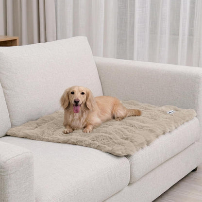 Paw Inspired Waterproof Dog Blanket, 40X30 Inch Size, Beige | Soft Faux Fur Throw, Fur-Resistant Fleece, Washable Pet Blanket, Waterproof Protection for Couch, Bed, Furniture, Crate, Car13
