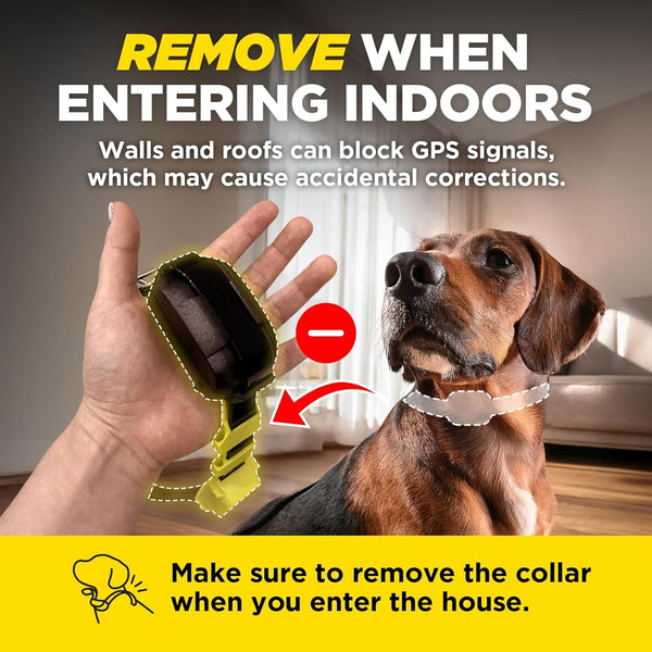 Dogtra GPS Fence – No Subscription, Custom Wireless Dog Fence with App, Smart Guidance & Return Reminder Tone/Vibration/Correction, IPX9K Waterproof Rechargeable Collar, Safe Freedom for Dogs 15 Lbs+5