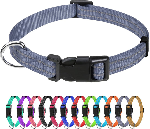 Tagme Small Dog Collar, Reflective Puppy Collar, Sky Blue, 3/8" Width | Lightweight, Nylon Collar for Puppies, Chihuahua, Yorkie & Teacup Dogs 5-15 Lbs, Reflective for Evening Walks, 12 Colors55