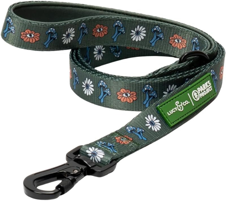 lucy-co-cheery-cherries-designer-dog-leash-for-small-to-large-dogs-padded-handle-for-comfort-large-red-gingham-cherries-5-foot