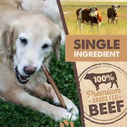 Mighty Paw 12" Bully Sticks for Dogs - Large, Medium and Small Breeds Chew | Single Ingredient, Grass-Fed, Lower Odor, 5 Pack, High Protein, Boredom Buster, All-Natural Sticks4