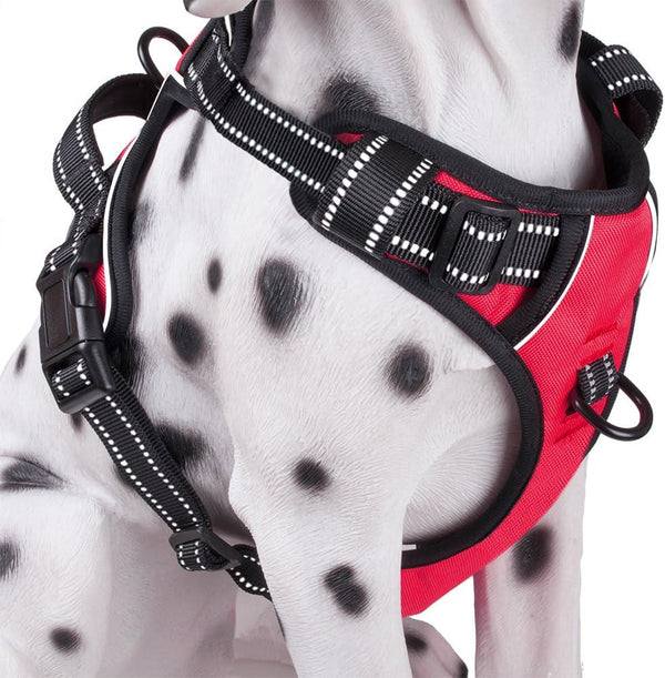 Poypet No Pull Dog Harness, Reflective Comfortable Vest Harness with Front & Back 2 Leash Attachments and Easy Control Handle Adjustable Soft Padded Pet Vest for Small Medium Large Dogs (Mint Blue,M)13