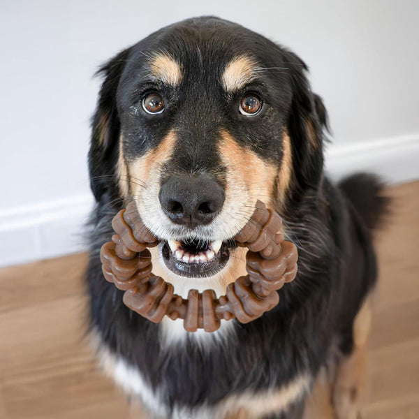 Nylabone Strong Chew Ring Dog Chew Toy Made with Real Beef & Chicken | X-Large Breeds, Durable, Long-Lasting Dog Bone, Textures Help Clean Teeth, Keeps Dogs Busy, for Dogs 50+ Lbs5