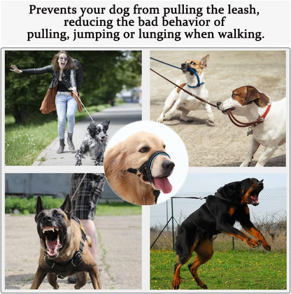 BARKLESS Dog Head Collar, No Pull Training Collar with Soft Padding | Reflective Head Halter for Large Dogs, Labrador, Controls Pulling and Lunging with Secure Safety Strap for Daily Walks3