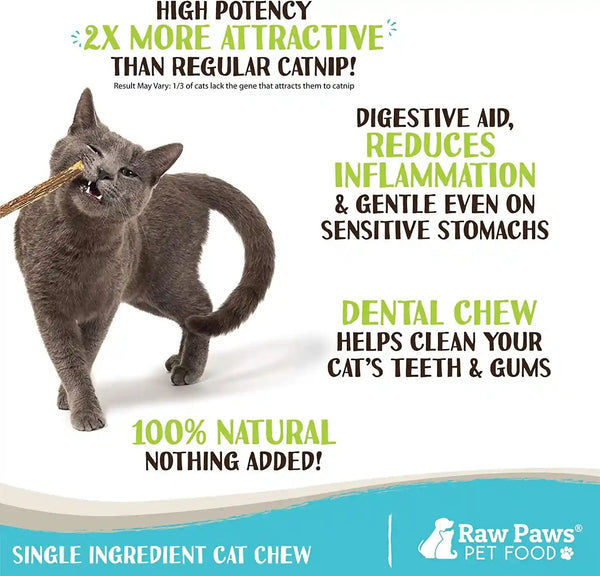 Raw Paws Silvervine Sticks for Cats (30-Count) - Dental Cat Chew Stick | Catnip Alternative - Matatabi Cat Toy - Silver Vine Sticks - Indoor Cat Enrichment & Chewing2