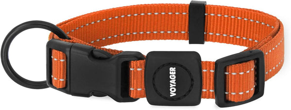 Best Pet Supplies Voyager Reflective Dog Leash or Collar with Neoprene Handle, for Small, Medium, and Large Breed Puppies, Cute and Heavy Duty for Walking, Running and Training - Royal Blue, S17