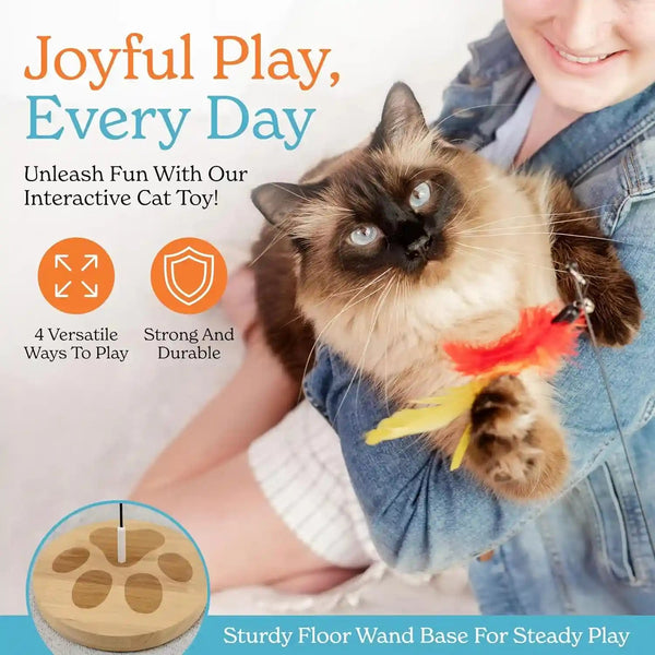 2 Cat Toy + 9 Feather Lures Interactive Cat Toys for Indoor Cats Interactive Kiteen Toys Enrichments for Boared Indoor Adult Cats Kittens Suction Cup Juguetes Para Gatos Teaser Feather Wand8