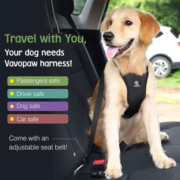 Vavopaw Dog Seat Belt Vest Harness for Car,2 in 1 Seatbelt Buckle | Soft Breathable Mesh,Adjustable Buckle,Nylon,Heavy Duty Pet Safety Seat Belts for Small Medium Large Pets,Black,L2