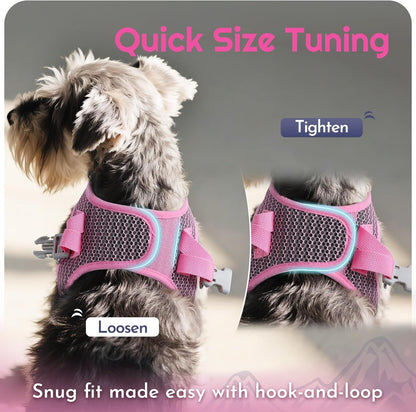 Eagloo Small Dog Harness and Leash Set, Step in Small Sized Puppy Pet Vest | Light, Soft, Breathable Air Mesh, Easy on and off with Hook & Loop, Reflective for Safe Walking, Pink, S9