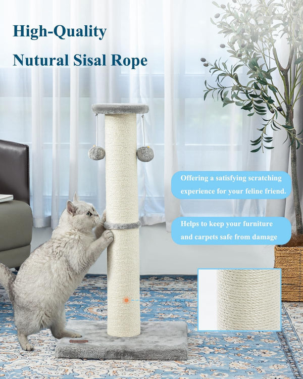 34Inch Tall Cat Scratching Post for Indoor Cats Adults | 4.3Inch Diameter Large Cat Scratch Post, Sturdy and Durable Cat Scratcher with Dangling Balls, Natural Sisal, Grey5