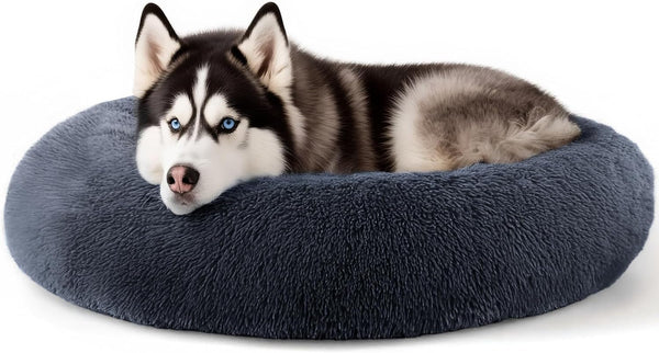 Hoewina Dog & Cat Bed for Indoor Cats, 20In Calming Donut Bed for Puppy and Kitten, Washable round Fluffy Pet Bed for Small Medium Dogs and Cats (Light Grey)27