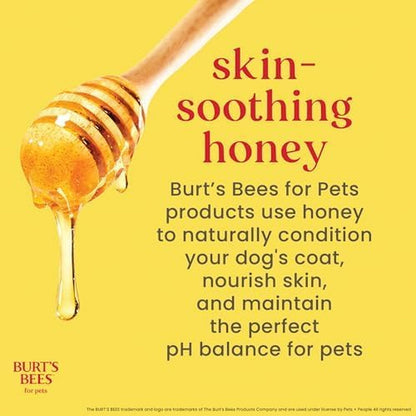 Burts Bees for Pets Gentle Cleansing Puppy Wipes, Buttermilk, 50 Count | Buttermilk Formula, Hypoallergenic, 98% Natural Origin, Gentle Cleansing and Conditioning7