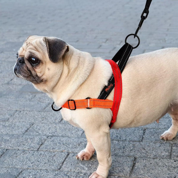 Didog No Pull Dog Harness for Large Dogs, Soft Padded Handle, Green, L | Quick Fit, Easy on and Off, Front Adjustable, Lightweight Vest, Colorful Reflective Strips, Easy for Walking and Training5
