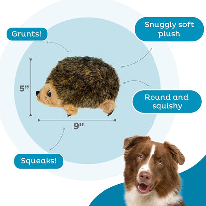 Outward Hound Hedgehogz Stuffed Dog Toy – Soft Plush Hedgehog, Grunts & Squeaks, Medium, 9" X 5" X 6.5"3