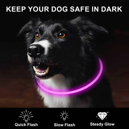 2-Pack LED Dog Collar, Light up Dog Collars,Rechargeable Dog Lights for Night Walking，Universal, Reusable Safety Necklace for Small Medium Large Dogs Red&Pink2