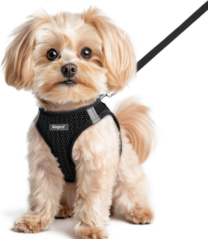 Eagloo Small Dog Harness and Leash Set, Step in Small Sized Puppy Pet Vest | Light, Soft, Breathable Air Mesh, Easy on and off with Hook & Loop, Reflective for Safe Walking, Pink, S46