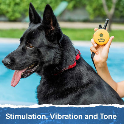 Educator ET-300 Mini E Collar for Dog Training with Remote - 1/2 Mile Range, Waterproof, 100 Blunt Stimulation Levels, Tone or Vibration Mode, Night Light Tracking for Small, Medium & Large Dogs8