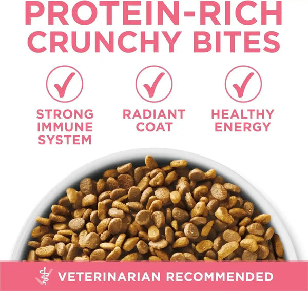 Purina ONE High Protein, Natural Dry Kitten Food, +Plus Healthy Kitten Formula - 7 Lb. Bag7