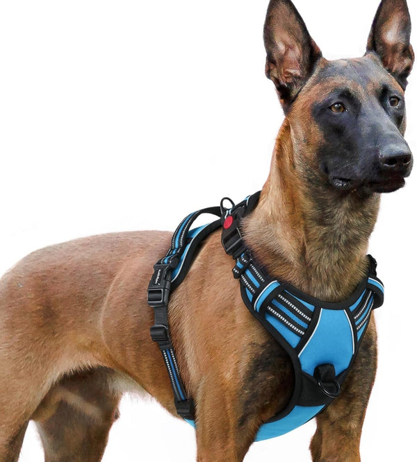 Rabbitgoo Dog Harness Medium Sized, Updated Easy on & off with 3 Buckles | No Pull No Choke, Walking with 2 Clips and Handle, Adjustable Soft Reflective, Blue, Medium32