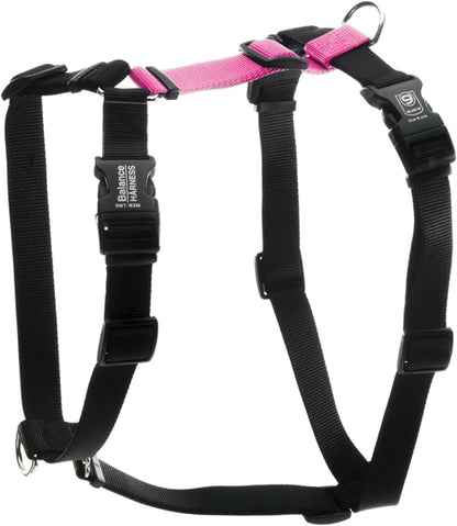 Blue-9 Buckle-Neck Balance Harness, Fully Customizable Fit No-Pull Harness, Ideal for Dog Training and Obedience, Made in the USA, Sky Blue, Medium11