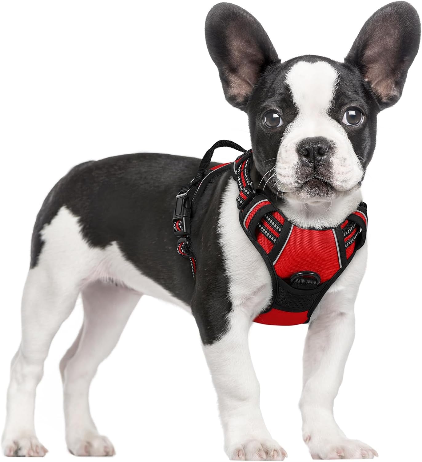 rabbitgoo-dog-harness-no-pull-for-large-dogs-with-2-leash-clips-pet-vest-no-choke-with-handle-adjustable-soft-padded-reflective-easy-control-for-walking-black-large