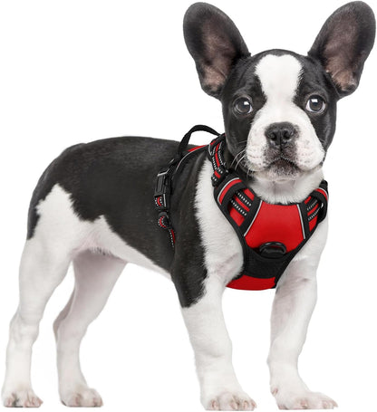 Rabbitgoo Dog Harness, No Pull for Large Dogs with 2 Leash Clips, Pet Vest | No Choke with Handle, Adjustable Soft Padded, Reflective, Easy Control for Walking, Black, Large111