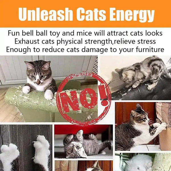 21 Pcs Cat Toys for Indoor Cats Collapsible Cat Tunnel Interactive Feather Teaser Wand Ball Toy for Kitten Cats7