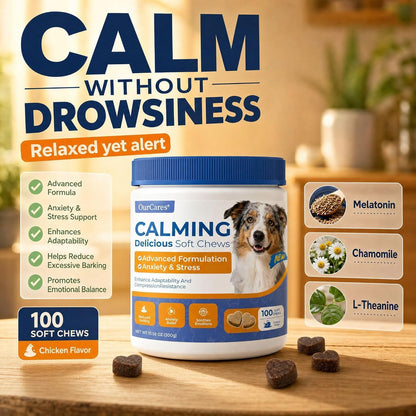 Calming Chews for Dogs Melatonin Anxiety Trial Pack 15 Ct Chicken | Non-Drowsy Soft Chews with Melatonin, Chamomile & L-Theanine. 15-Day Trial Size for Anxiety, Storms, Travel & Sleep Support.2