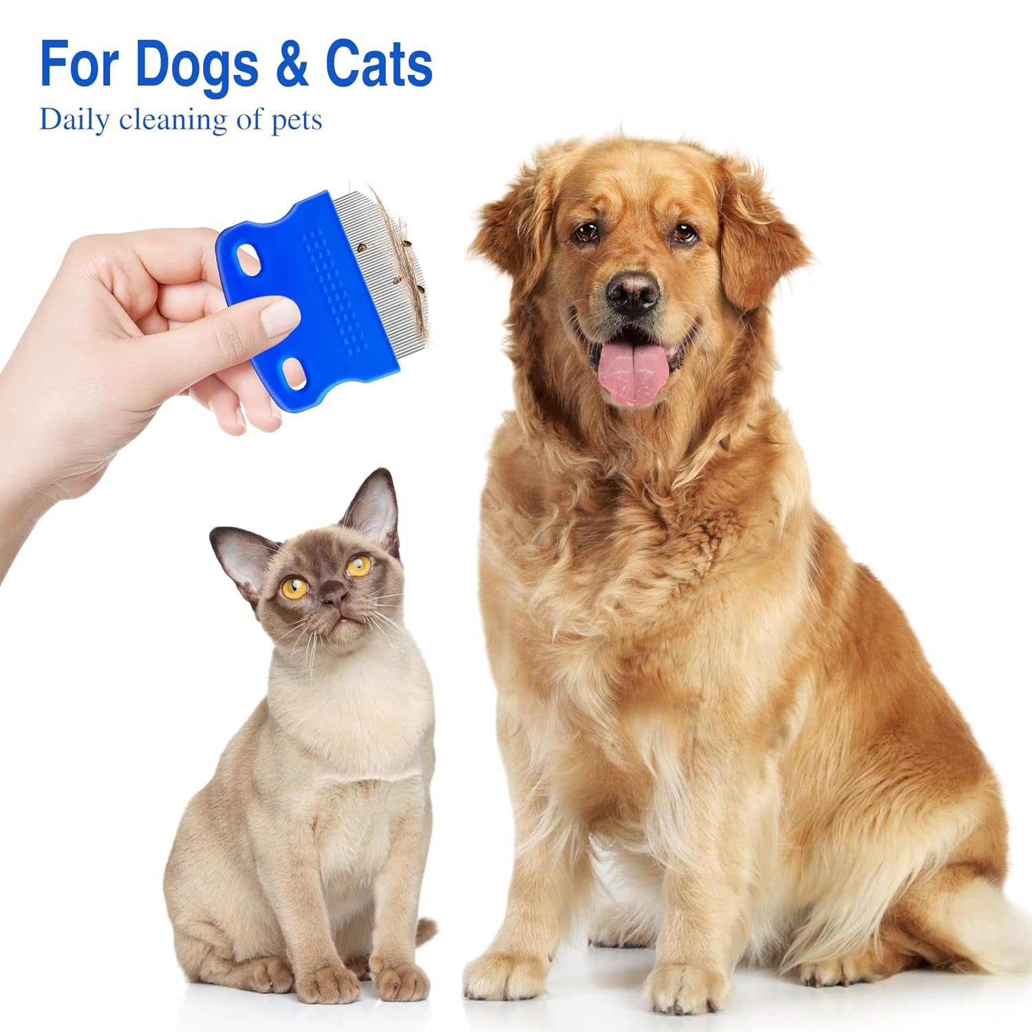 2-pack-professional-eye-comb-for-pets-stainless-steel-tear-stain-remover-flea-lice-comb-for-cats-dogs-gentle-round-head-grooming-tool-precisely-removes-stains-dirt-and-debris-from-the-eye-area