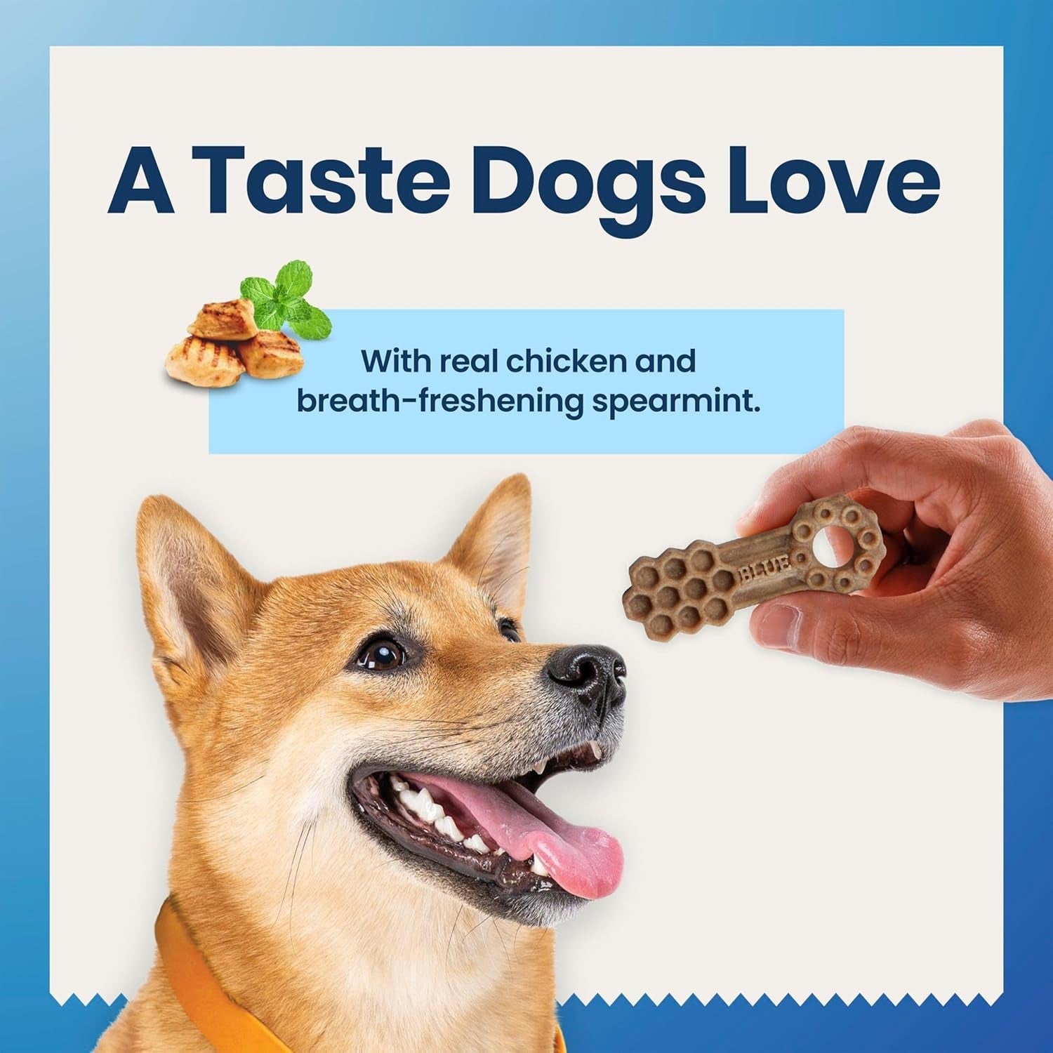 blue-buffalo-dental-chews-medium-natural-dog-treats-chicken-spearmint-23-oz-bag-28-count