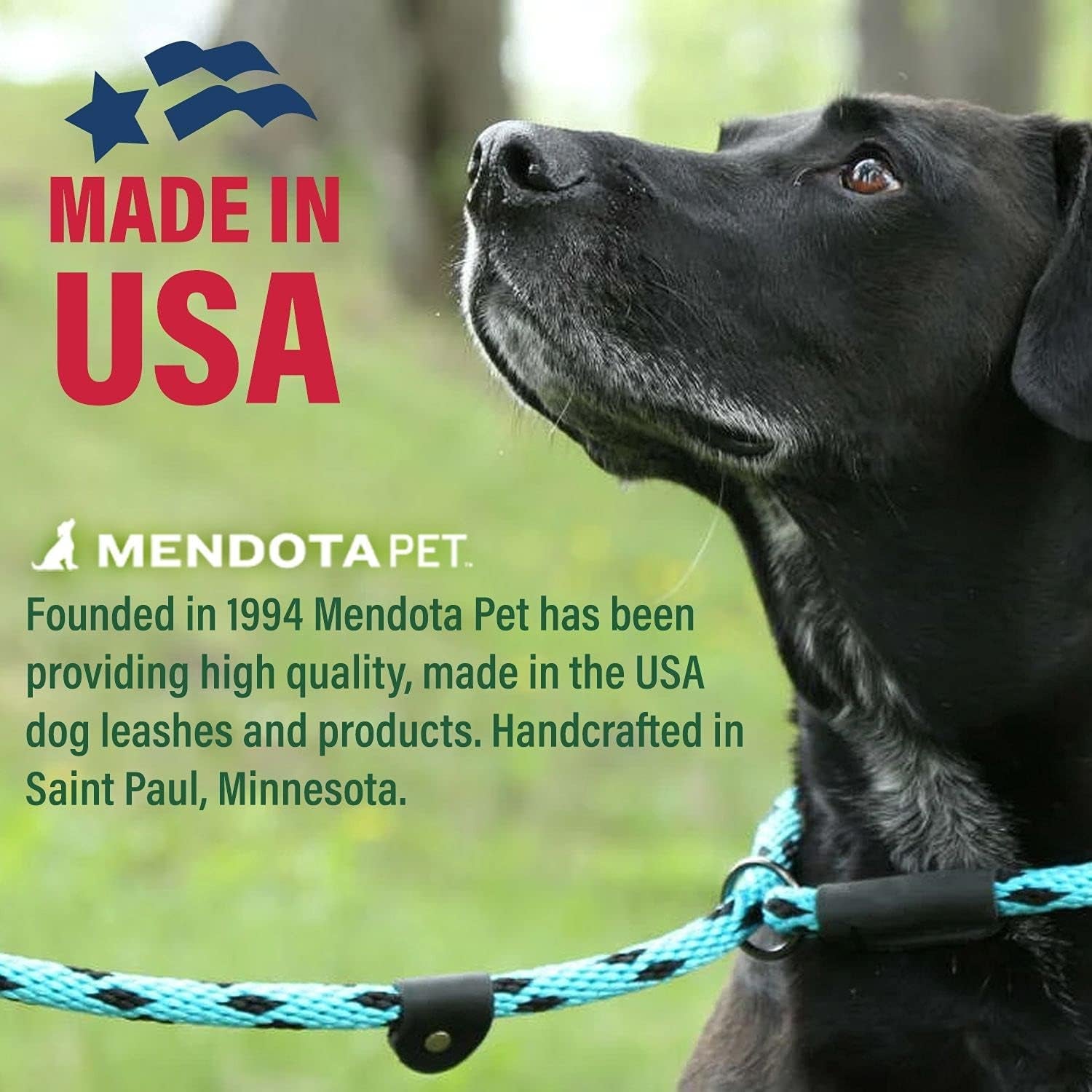 mendota-pet-slip-leash-dog-lead-and-collar-combo-made-in-the-usa-mocha-3-8-in-x-6-ft-for-small-medium-breeds