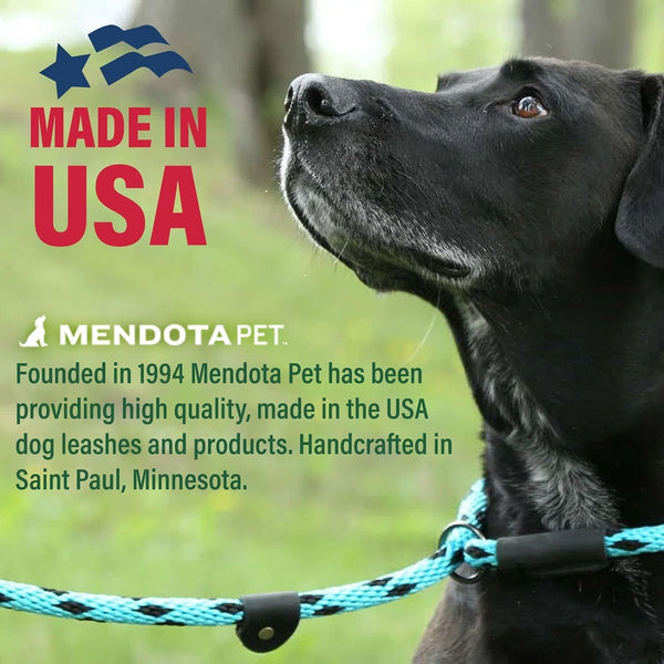 Mendota Pet Slip Leash - Dog Lead and Collar Combo - Made in the USA - Mocha, 3/8 in X 6 Ft - for Small/Medium Breeds3