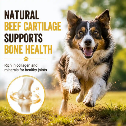 Dog Treats, Chicken Duck Jerky Wrapped Beef Cartilage Sticks Dental Chews | Natural Long Lasting Dog Bones Snack, Rawhide Free Healthy Dog Training Treats for Small Medium Large Dogs, 10.6Oz7