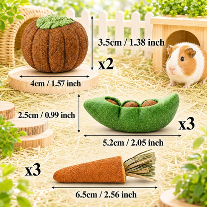 HERCOCCI 8Pcs Guinea Pig Chew Toys, Hamster Toys Prevent Excessive Teeth Growth Natural Vegetables Carrot and Timothy Grass for Guinea Pig Rabbit Chinchillas Gerbil4