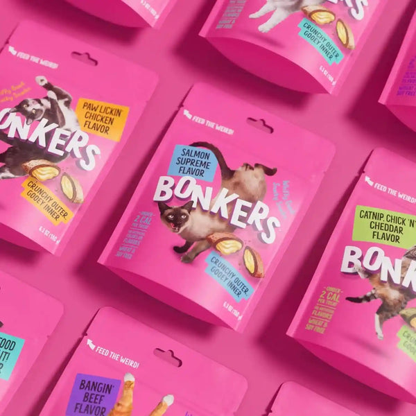 Bonkers Bites Salmon Supreme Flavor Crunchy & Soft Treats for Cats, 3Oz Bag (Pack of 10)2