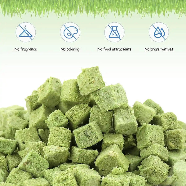 60G Cat Grass Treats for Indoor Cats, Freezed Dried Cat Grass Teething Stick Snacks for Cats, Edible Feline Chew Toys for Hairball Control and Oral Health4