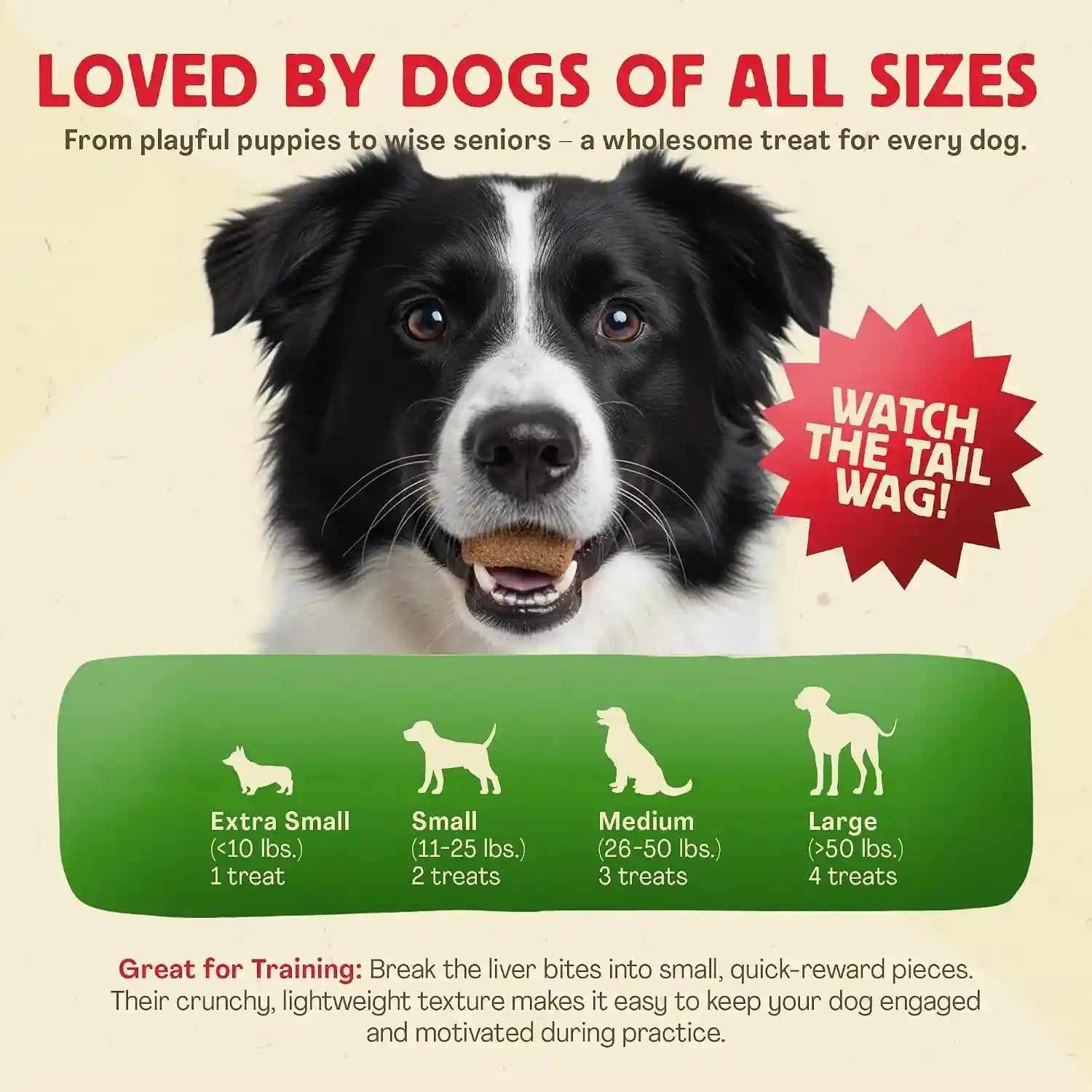 chewmasters-100-pure-beef-liver-bites-17-6oz-freeze-dried-cat-dog-treats-all-natural-high-protein-training-treats-grain-free-healthy-real-meat-flavor-for-all-life-stages-no-additives-made-in-usa