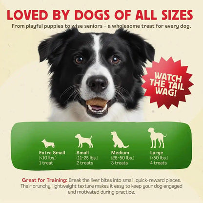 Chewmasters 100% Pure Beef Liver Bites 17.6Oz Freeze Dried Cat & Dog Treats | All Natural High Protein Training Treats, Grain Free, Healthy Real Meat Flavor for All Life Stages, No Additives, Made in USA5