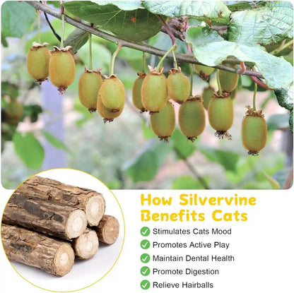 9 Pack Silvervine Sticks for Cats, Natural Cat Chew Stick Toys Set | Matatabi Dental Care Cat Treat for Indoor Cats/Kittens Dental Care Teeth Cleaning/Play4