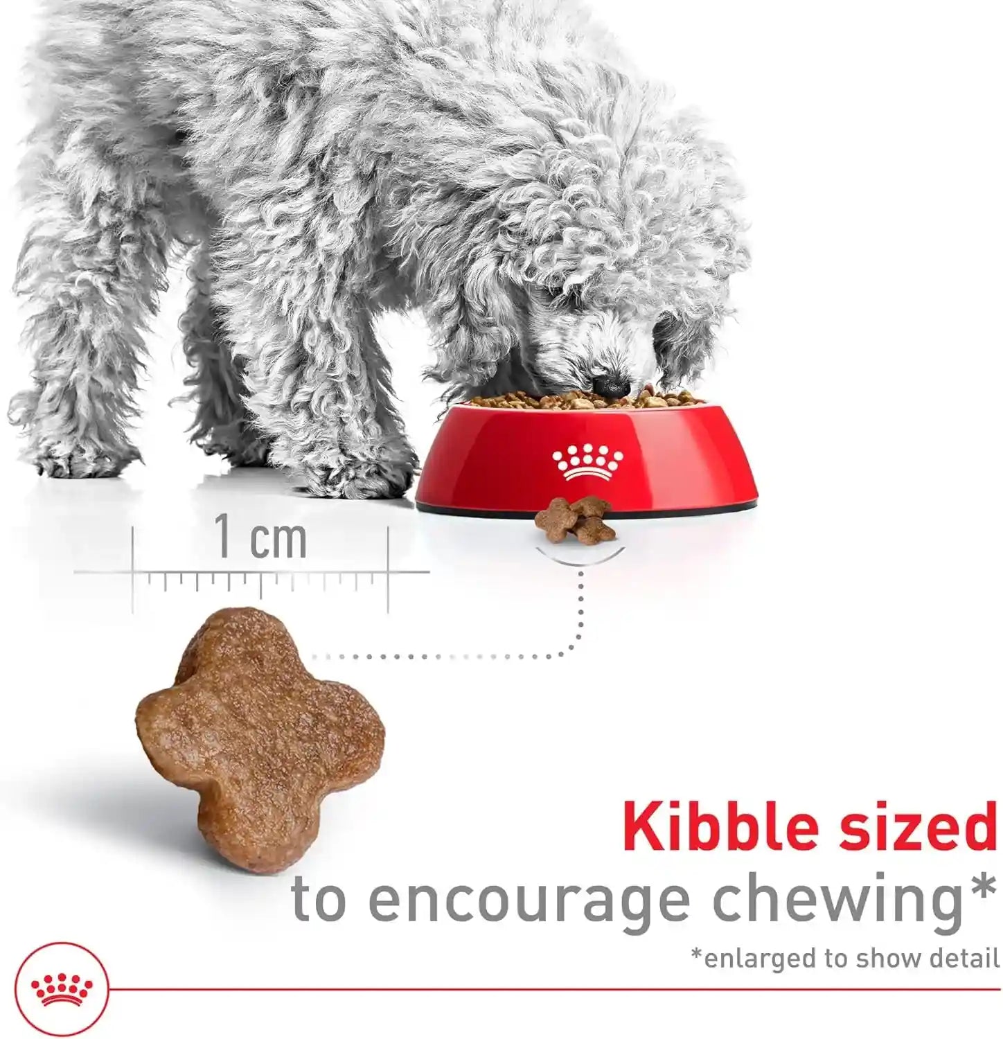 royal-canin-size-health-nutrition-small-8-senior-dry-dog-food-2-5-lb-bag